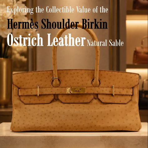 經典的當代變奏:探尋 Hermès Shoulder Birkin 鴕鳥皮 Natural Sable 金扣的收藏價值