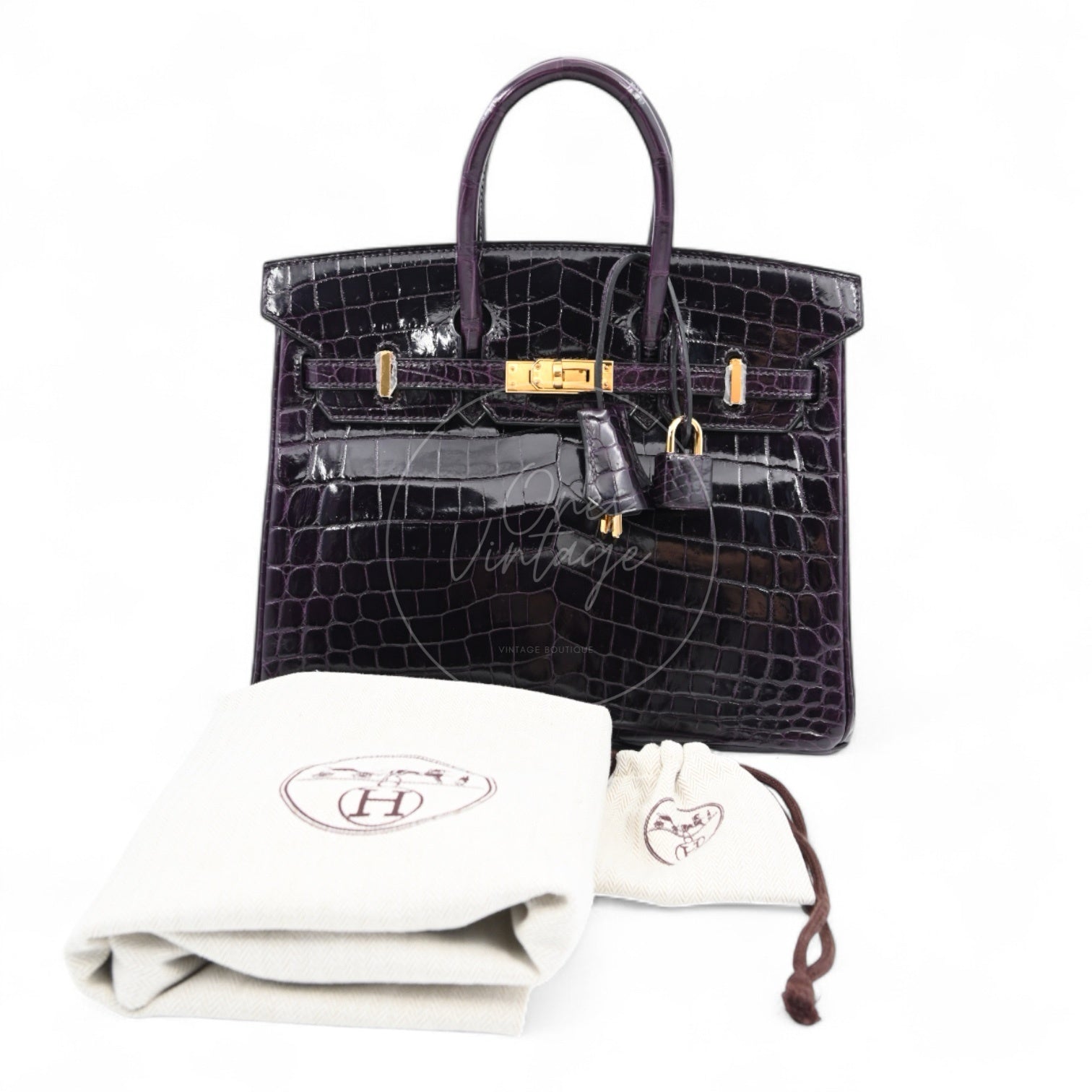 Hermes Birkin 25 Shiny Niloticus Crocodile Bag GHW Dark Purple Stamp T
