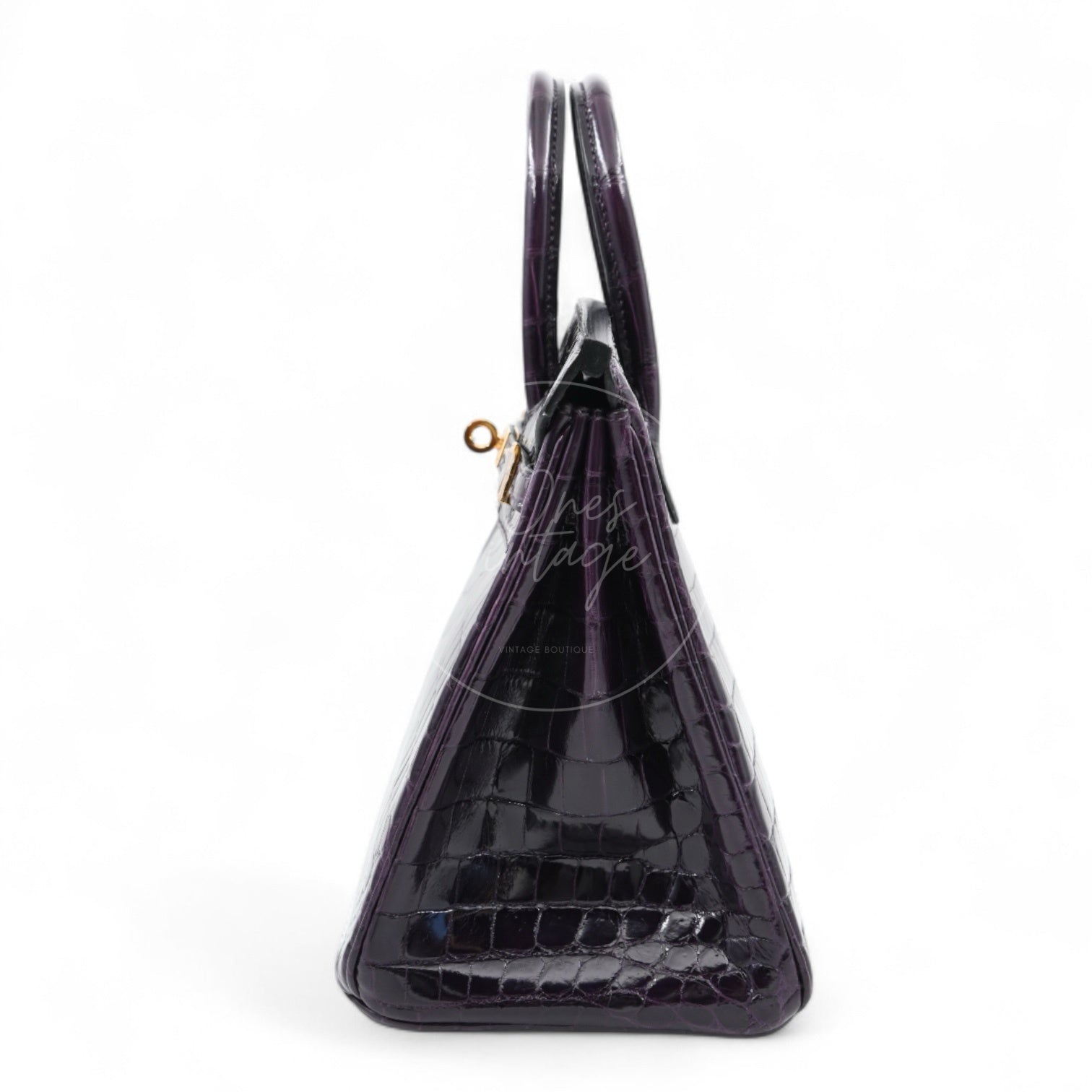 Hermes Birkin 25 Shiny Niloticus Crocodile Bag GHW Dark Purple Stamp T
