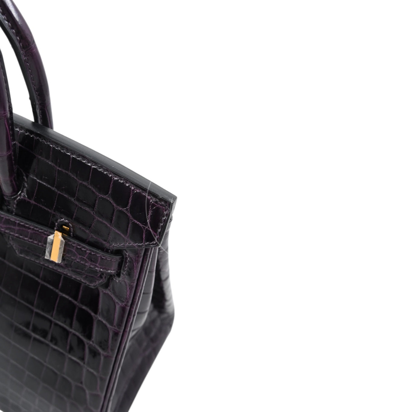 Hermes Birkin 25 Shiny Niloticus Crocodile Bag GHW Dark Purple Stamp T