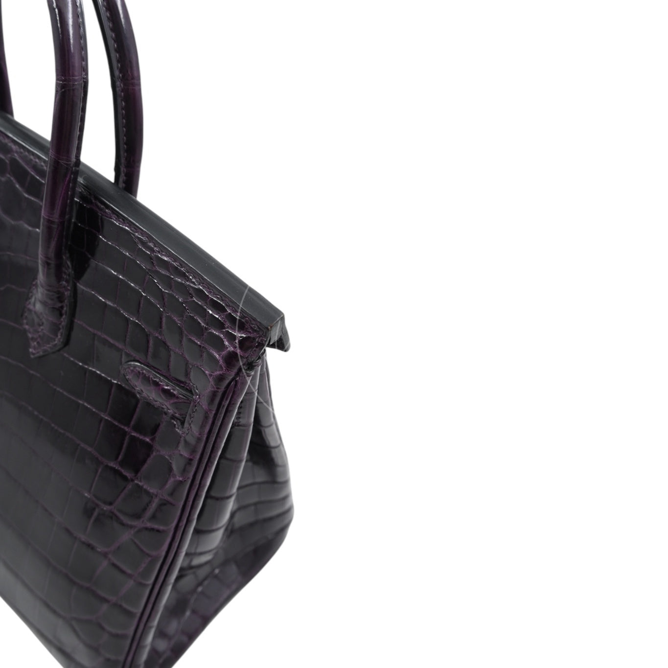 Hermes Birkin 25 Shiny Niloticus Crocodile Bag GHW Dark Purple Stamp T
