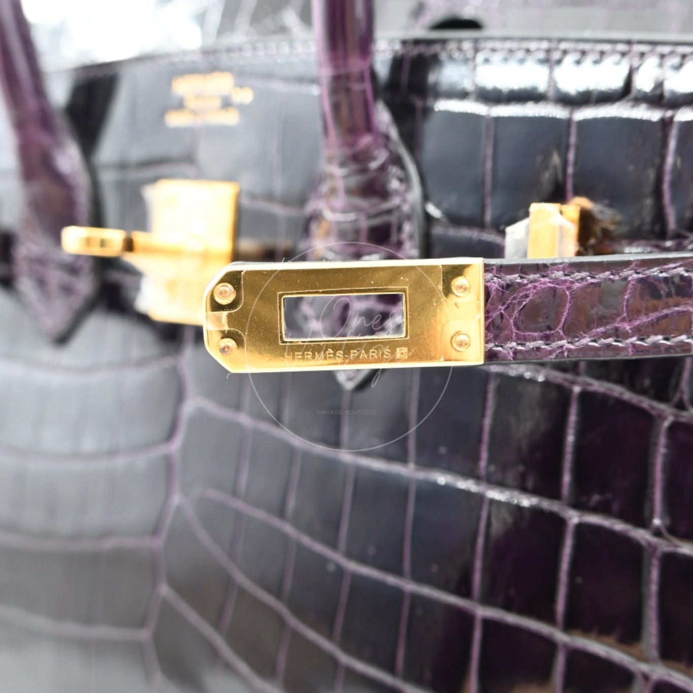 Hermes Birkin 25 Shiny Niloticus Crocodile Bag GHW Dark Purple Stamp T