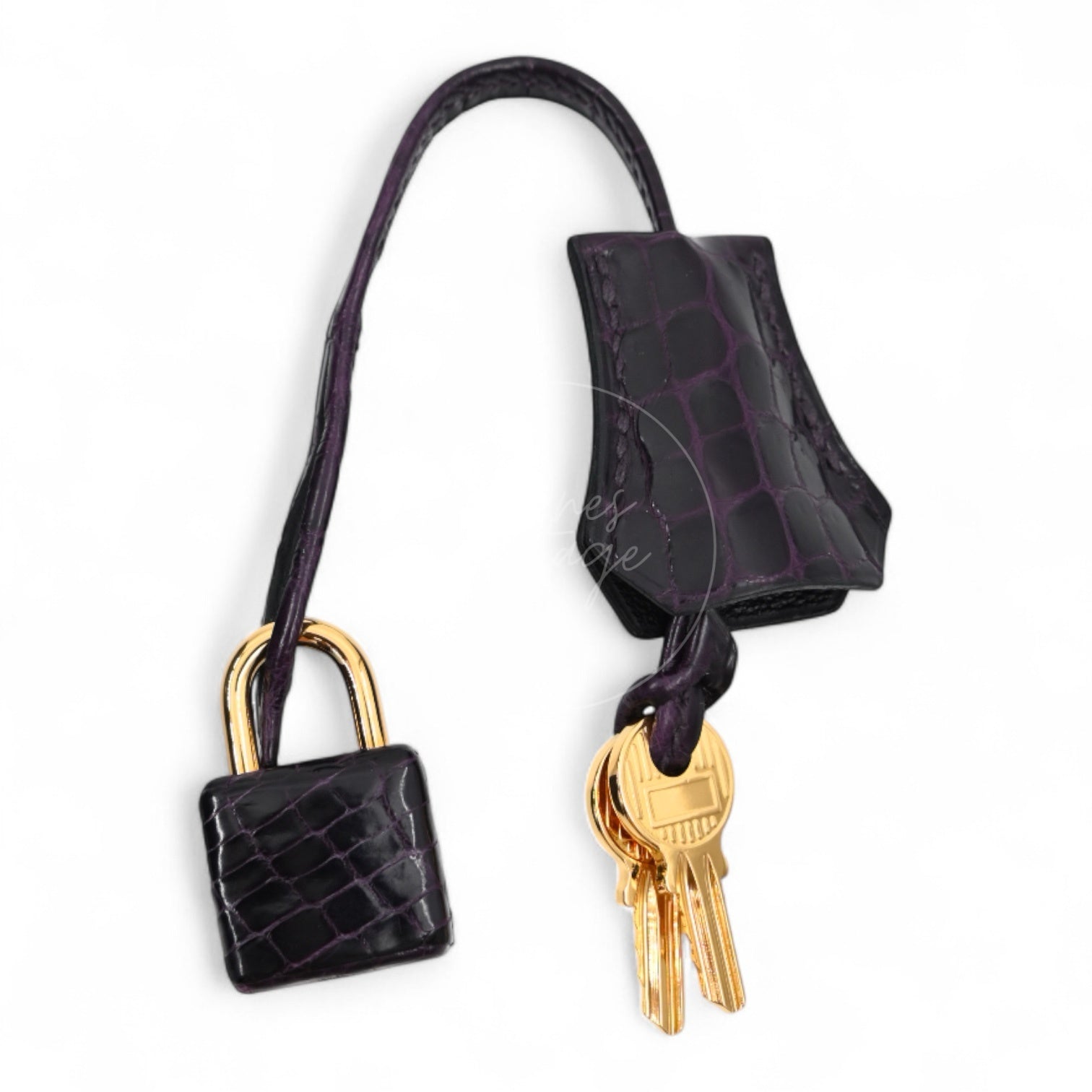 Hermes Birkin 25 Shiny Niloticus Crocodile Bag GHW Dark Purple Stamp T