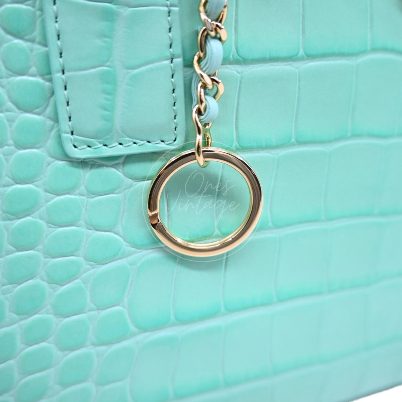 Chanel Cerf Crocodile Embossed Calfskin Tote Bag GHW Green Series L9
