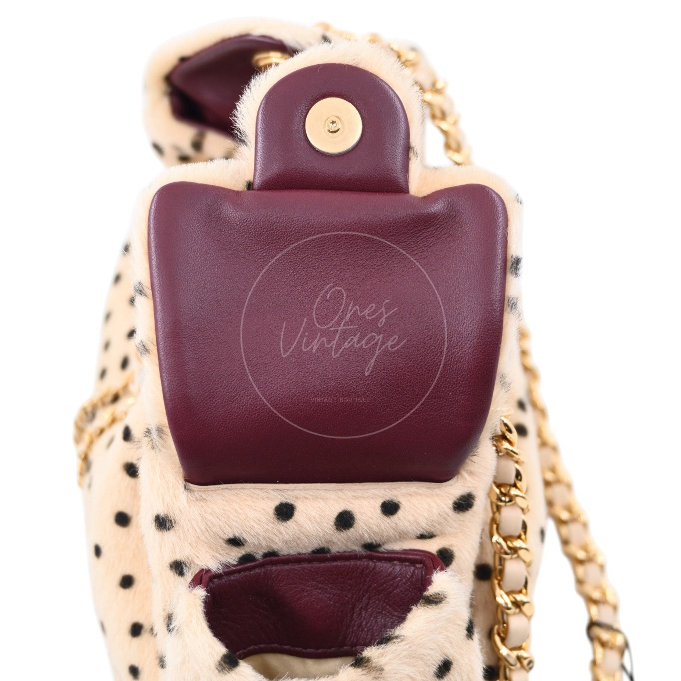 Chanel 25 Bag Mini Pony Hair Cheetah GHW Beige Black Series JX