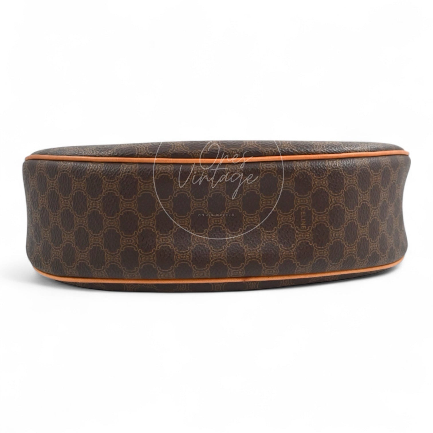 Celine AVA Bag In Triomphe Canvas and Calfskin Brown
