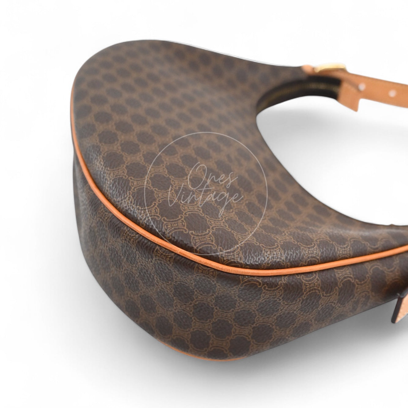 Celine AVA Bag In Triomphe Canvas and Calfskin Brown