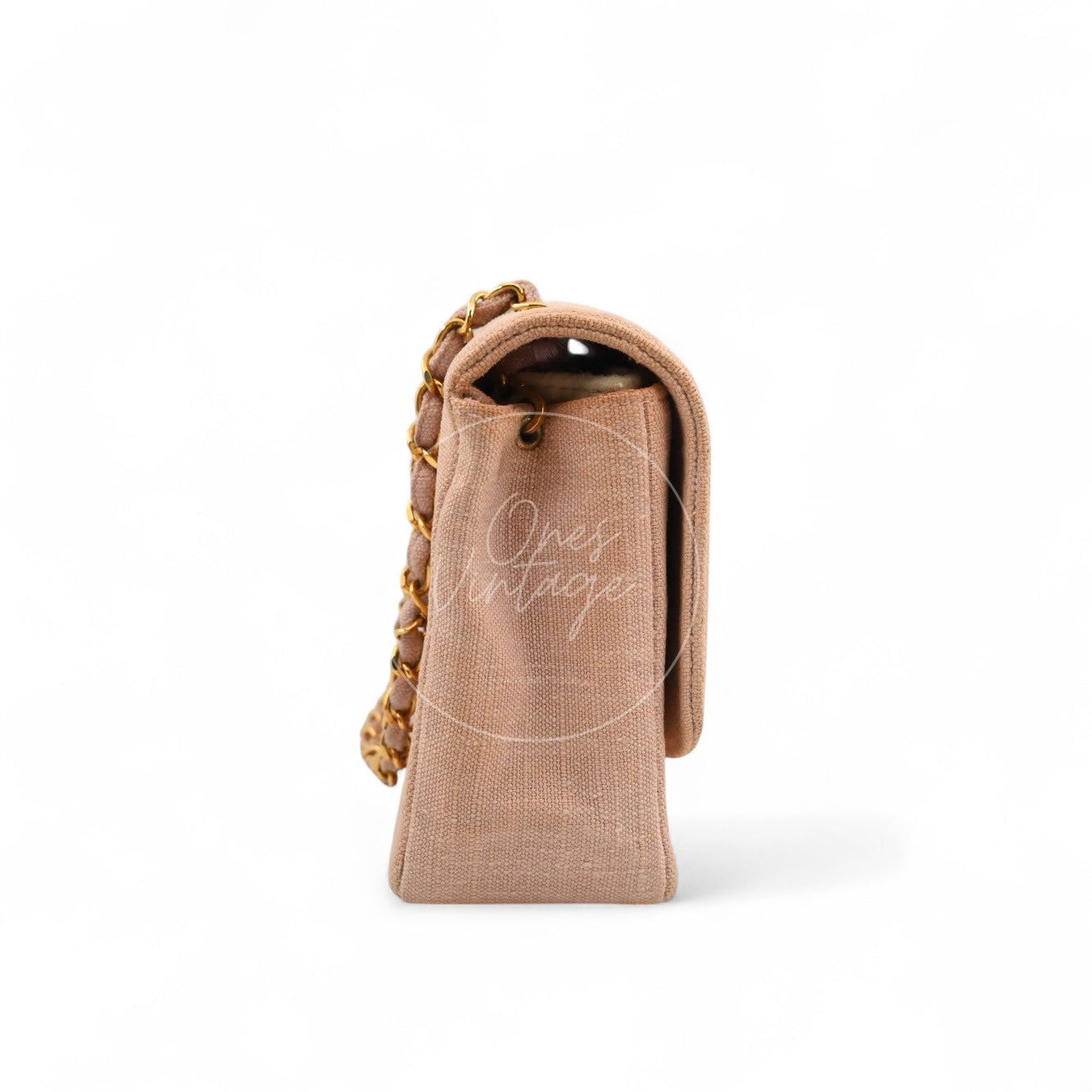 Chanel Vintage Medium Diana Flap Bag Canvas GHW Pink Series 2