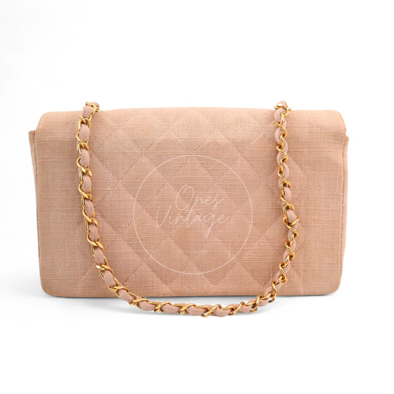 Chanel Vintage Medium Diana Flap Bag Canvas GHW Pink Series 2