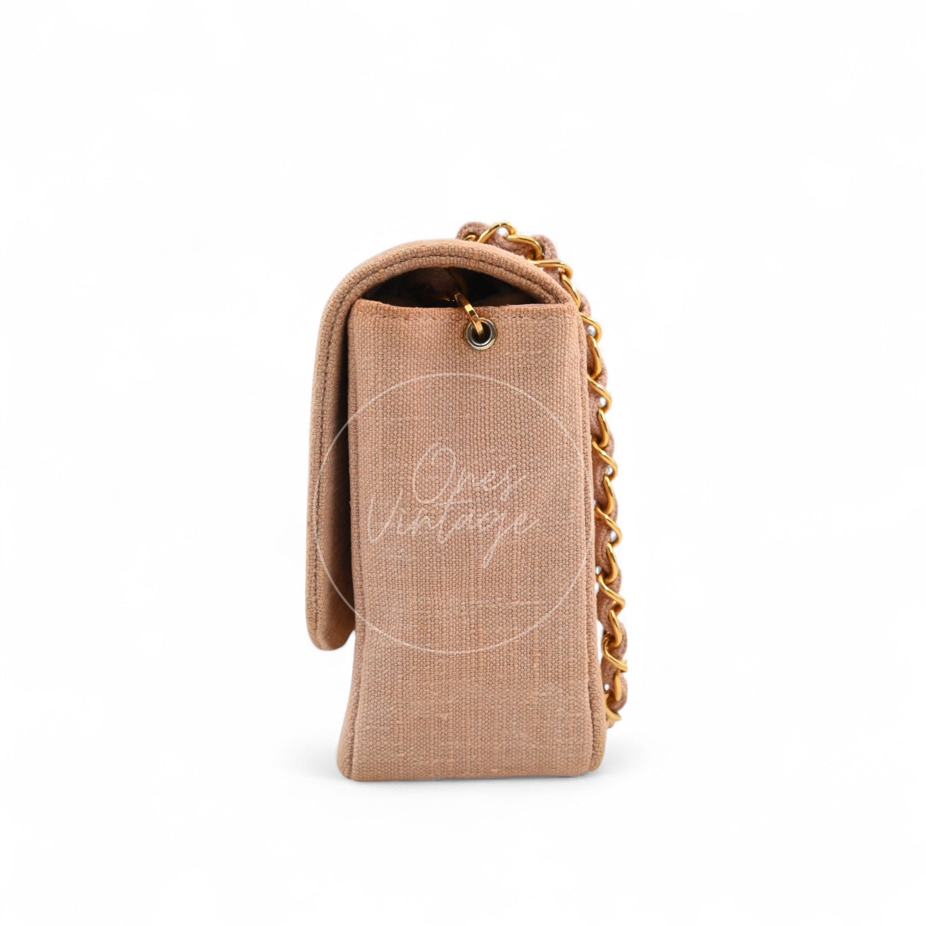 Chanel Vintage Medium Diana Flap Bag Canvas GHW Pink Series 2
