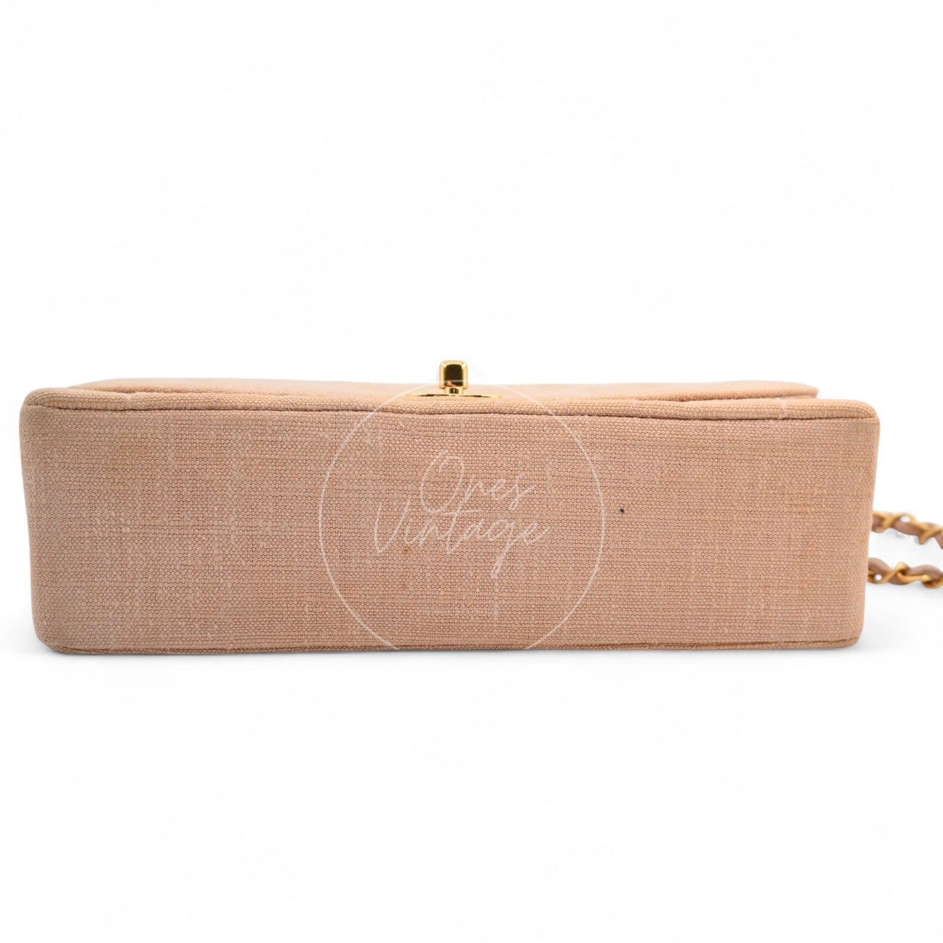 Chanel Vintage Medium Diana Flap Bag Canvas GHW Pink Series 2