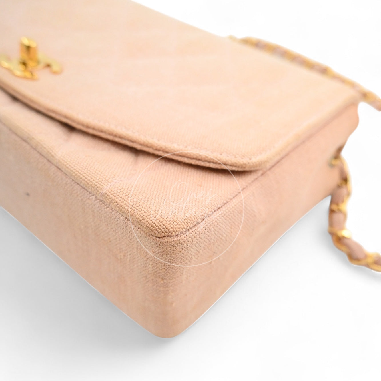 Chanel Vintage Medium Diana Flap Bag Canvas GHW Pink Series 2