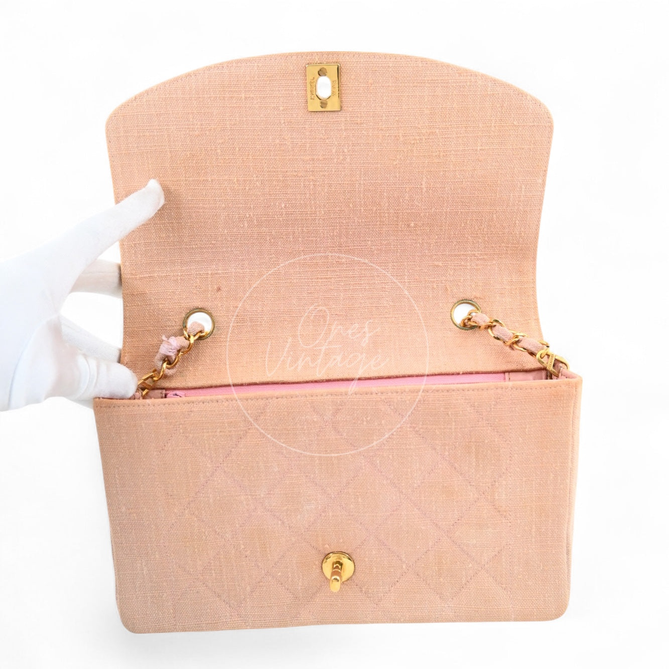 Chanel Vintage Medium Diana Flap Bag Canvas GHW Pink Series 2