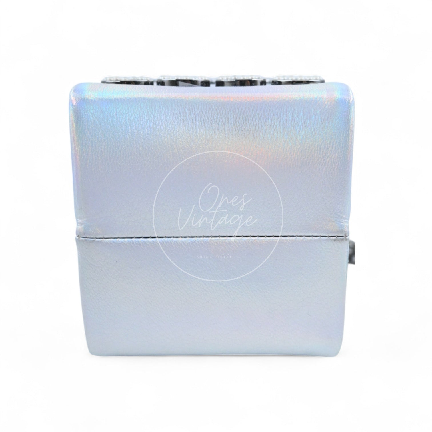 Chanel Milk Carton Goatskin SHW Iridescent Silver Series 20