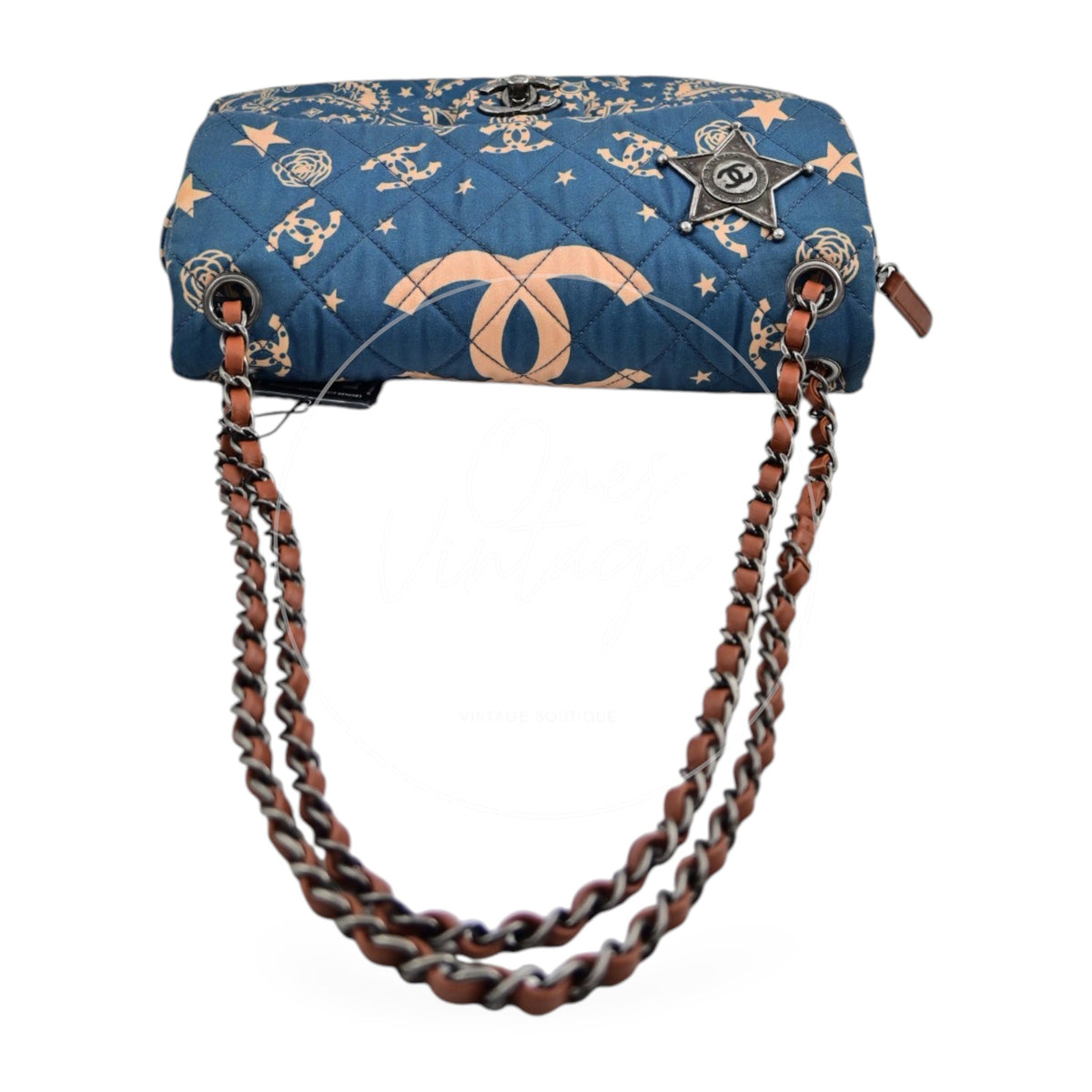 Chanel Paris Dallas Metiers D'art Medium Classic Flap Shoulder Bag Series 19