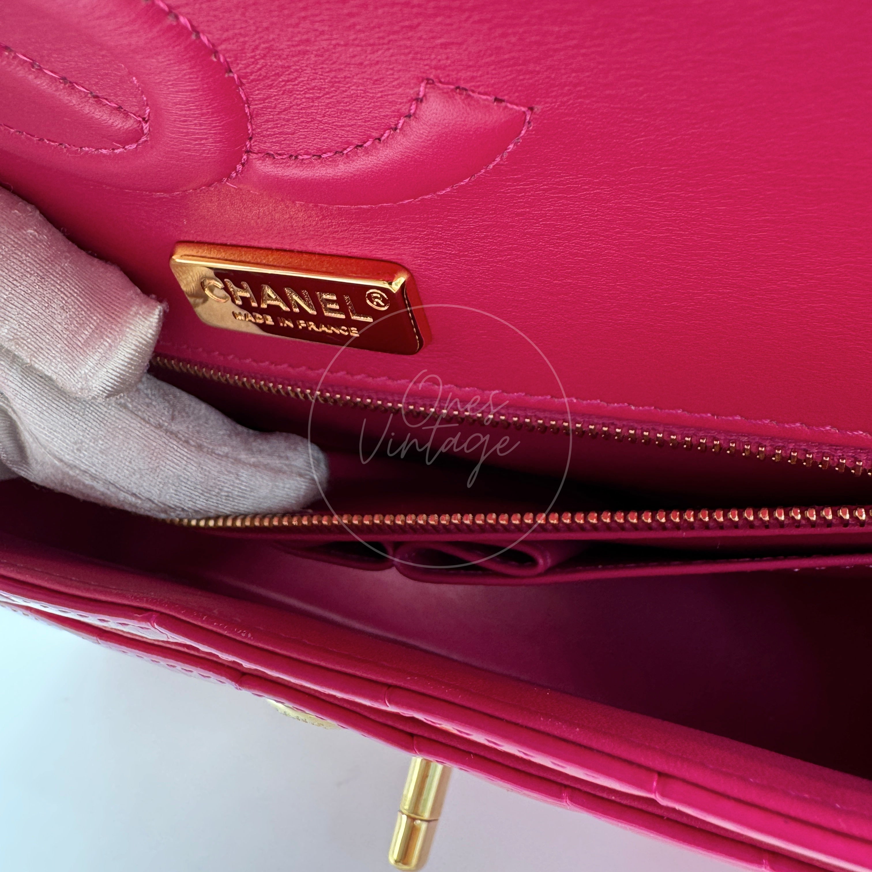 Chanel Shiny Alligator Medium Classic Flap Bag GHW Pink Series 27