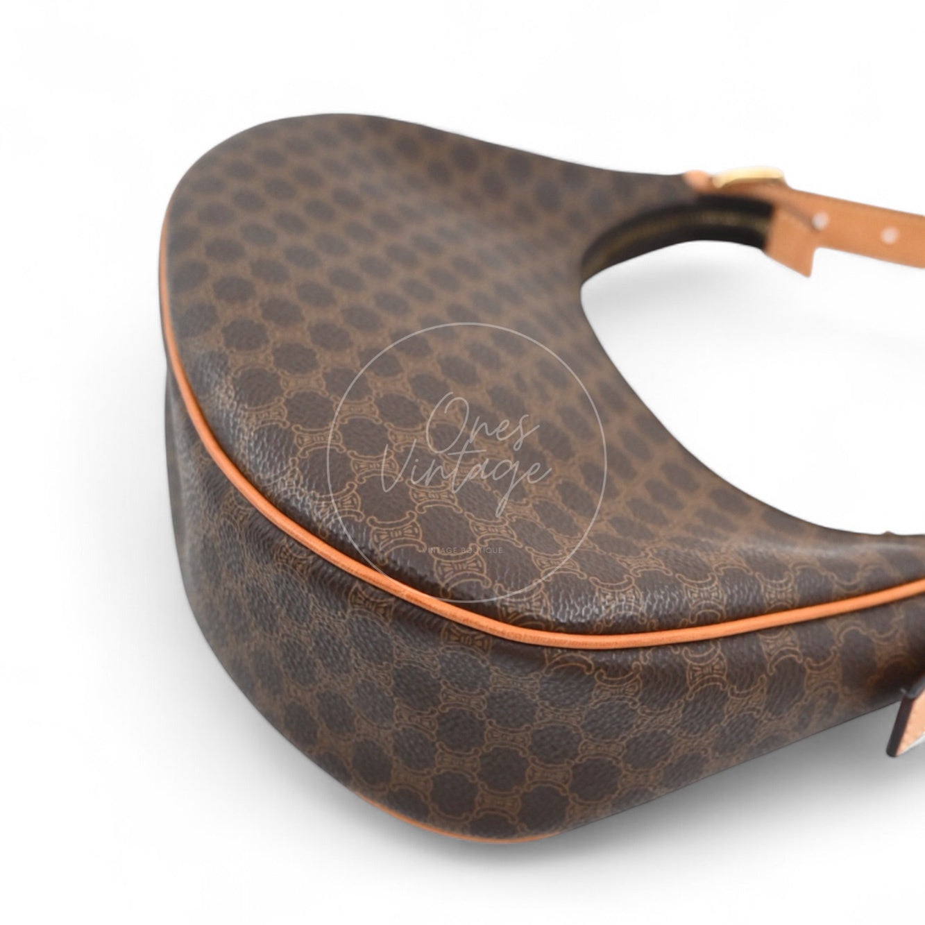 Celine AVA Bag In Triomphe Canvas and Calfskin Brown