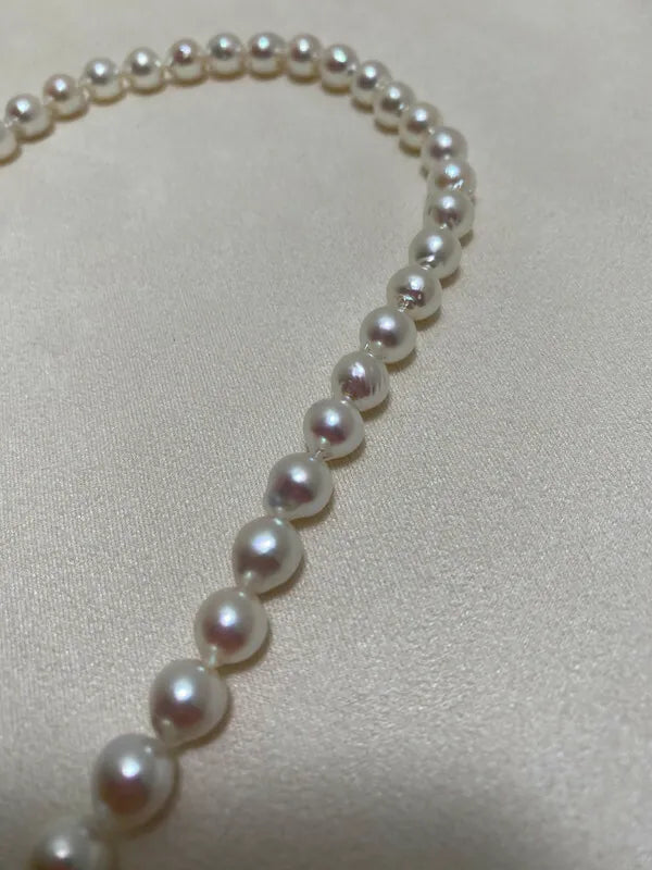 [Brand new] 3mm Akoya Pearl Necklace