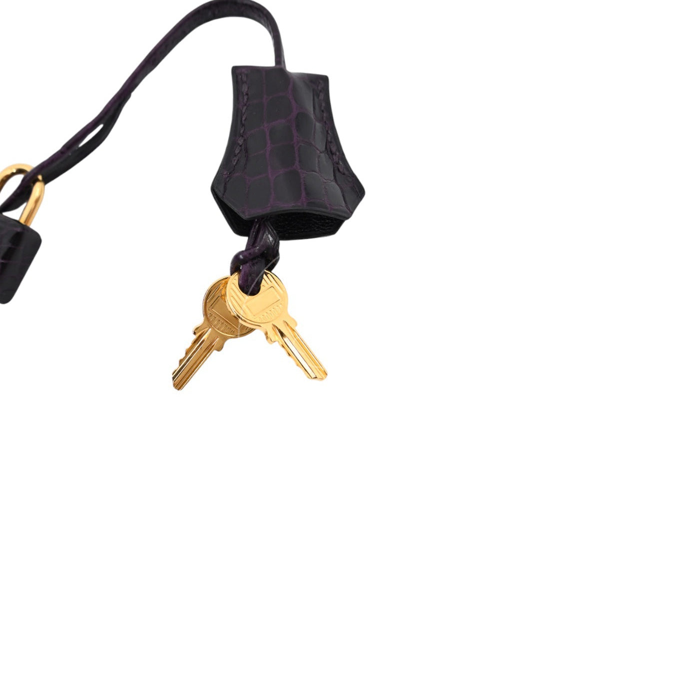 [Pre-owned] Hermes Birkin 25 Shiny Niloticus Crocodile Stamp T GHW Bag