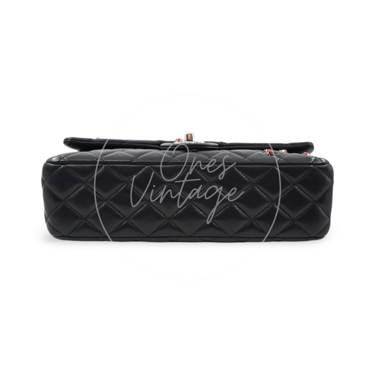 Chanel Quilted Medium Ladybug Flap Bag Lambskin Black SHW Series 14